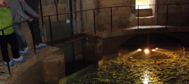 Un article de presse bien tourné et bien vrai… sur une conférence