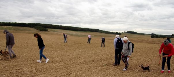 La Géologie de l’Aube, une histoire enregistrée dans son sous-sol