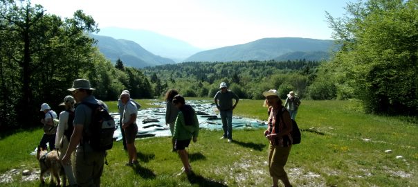 L&rsquo;AG.A. sur les pas de Dinosaures dans le Jura…
