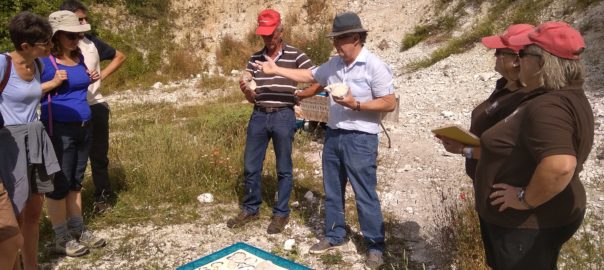 Quelle année 2019 à l&rsquo;A.G.A. ?