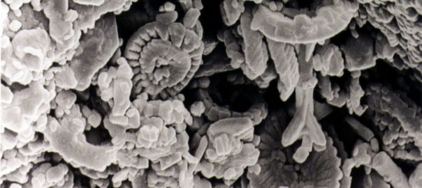 Secrets de CRAIE à Trouans, une belle expo de l’A.G.A. ! Reportée à …