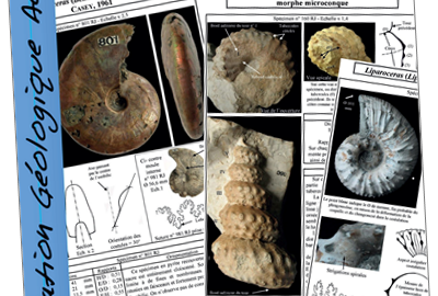 En 2022, des éditions à l&rsquo;A.G.A…