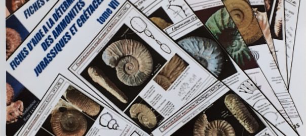 Sur le terrain et des écrits à l&rsquo;AGA…